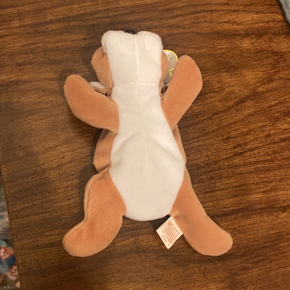 💜 5/$16 💜 Rare NWT 1996 Wrinkles Beanie Baby - Picture 6 of 6